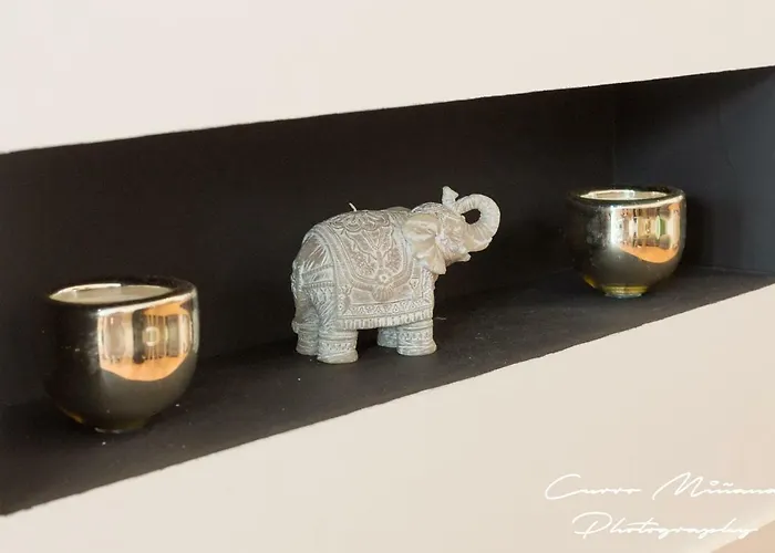 Con Gran Azotea 아파트 *